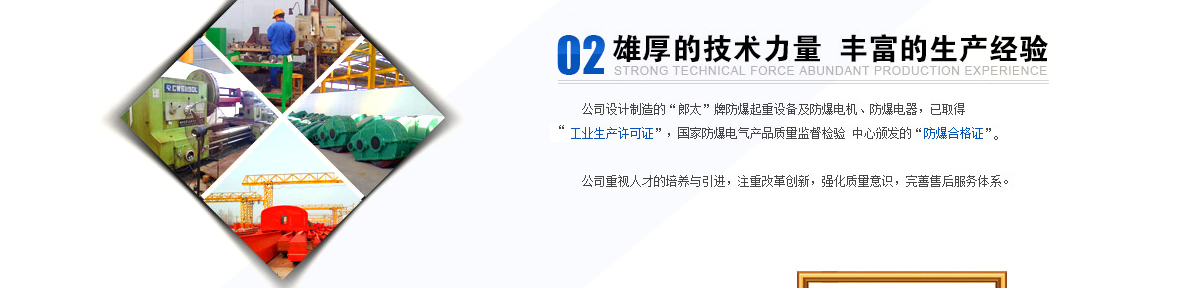 上海郎太防爆起重機有限公司